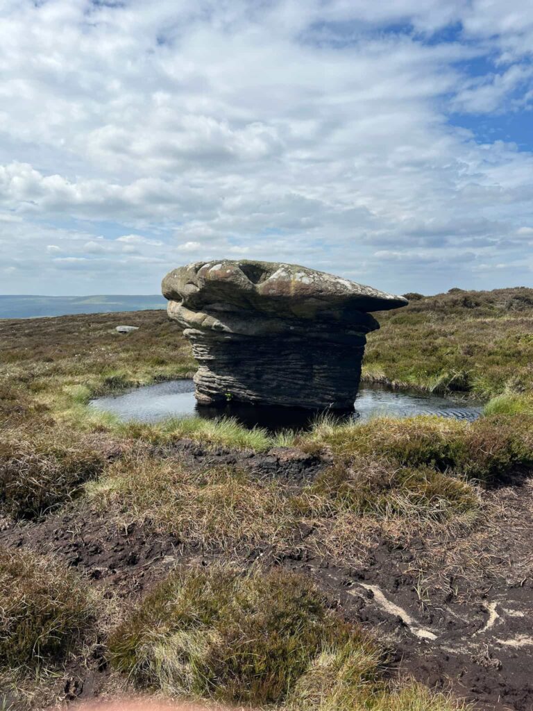 The 1894 stone, a mushroom shaped rock surrounded by a moat