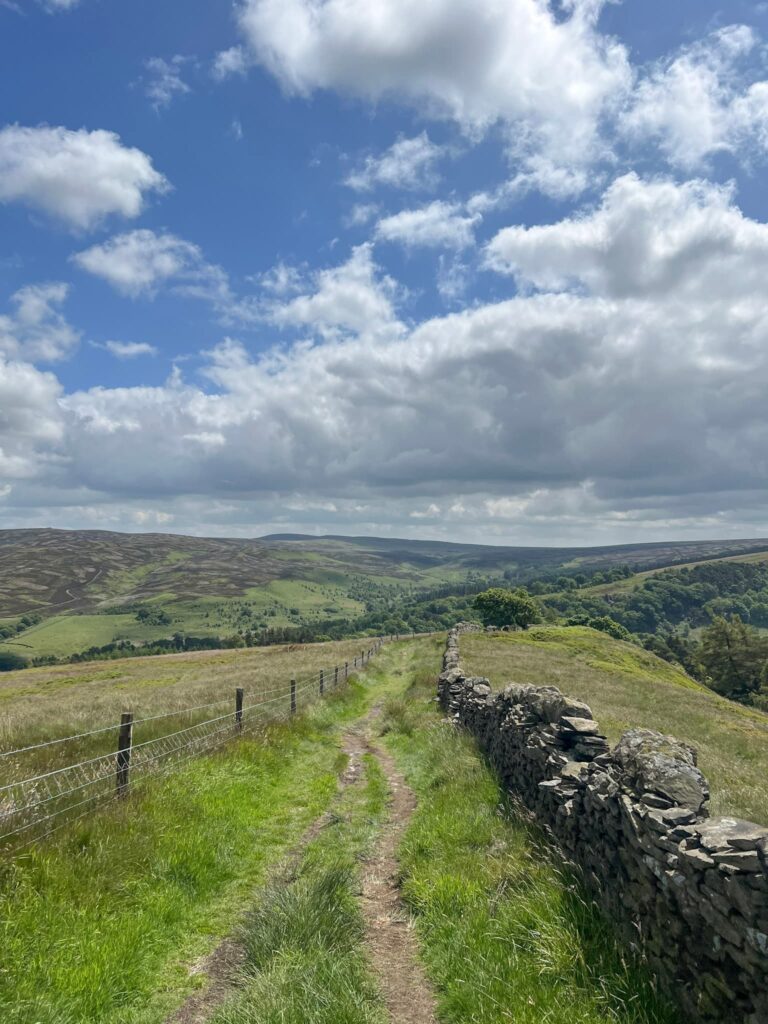 A view along a path on the moors, with a stone wall on the right hand side