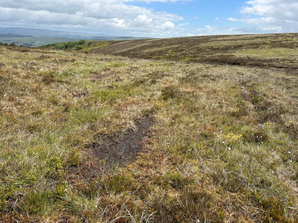 What looks to be a bare patch of earth on a moorland