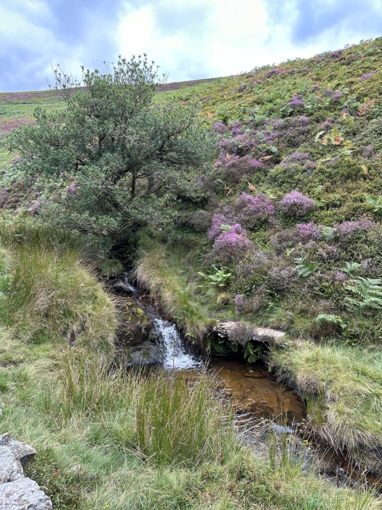 A small Peak District waterfall in Jaggers Clough