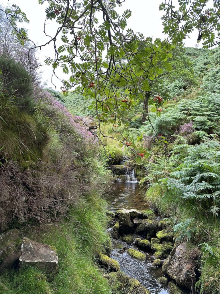 A small Peak District waterfall in Jaggers Clough