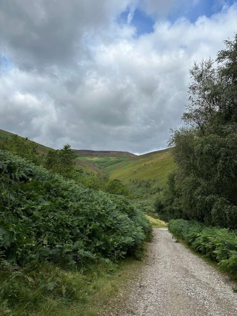 A view of Kinder Scout from the track near Jaggers Clough