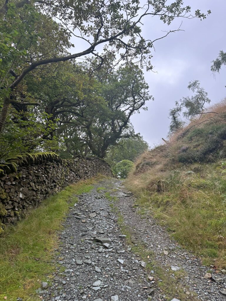 A view of a track in the Lake District