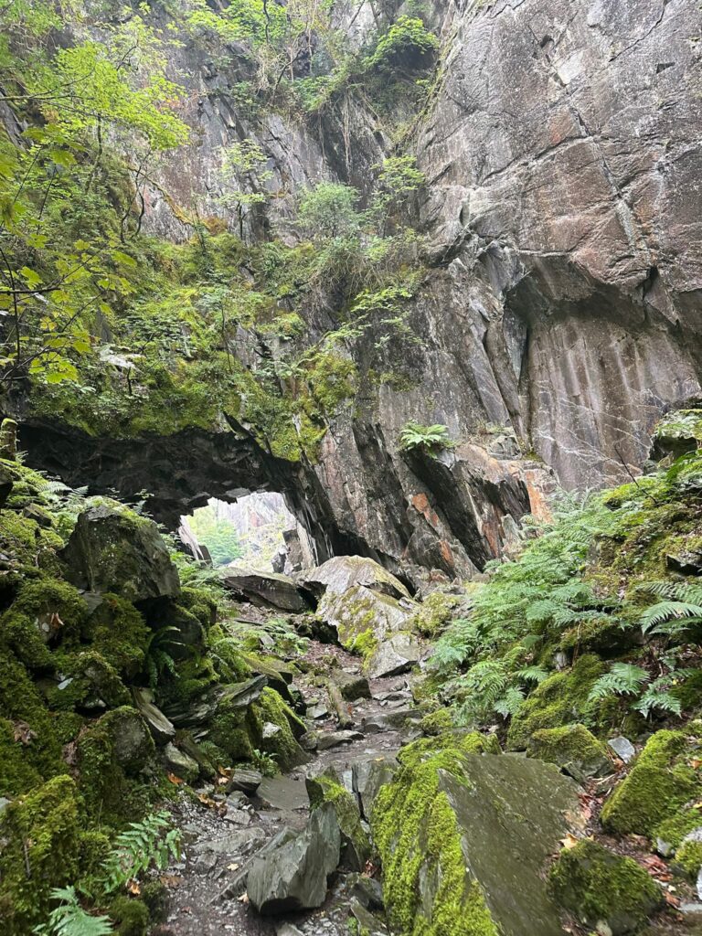 The path to Hodge Close Quarry