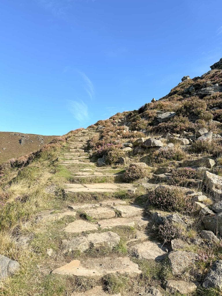 Some stone steps up Ringing Roger