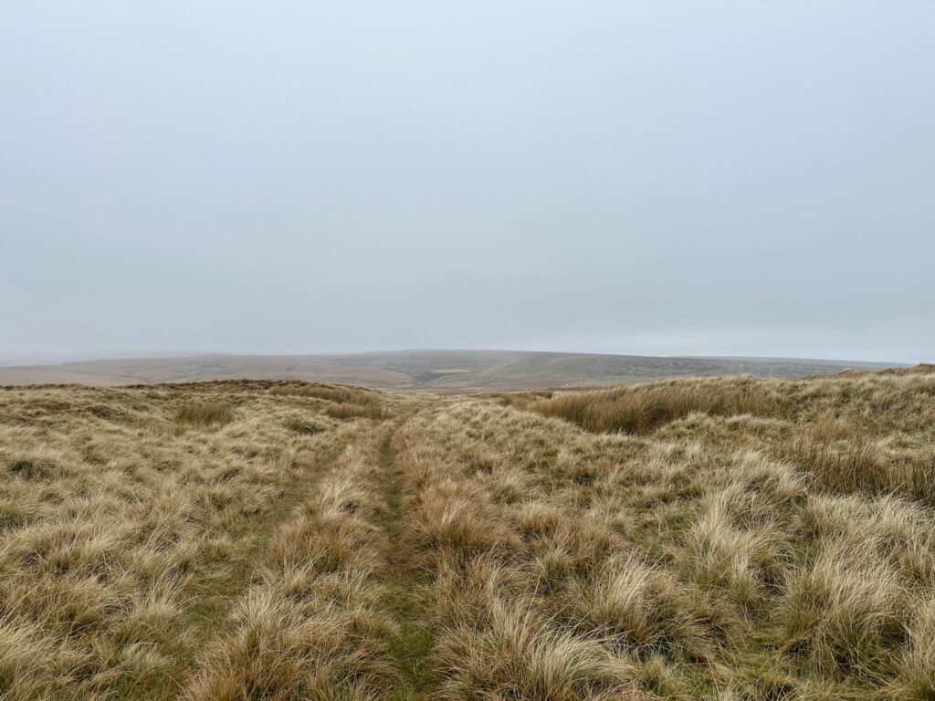 A grassy moorland track