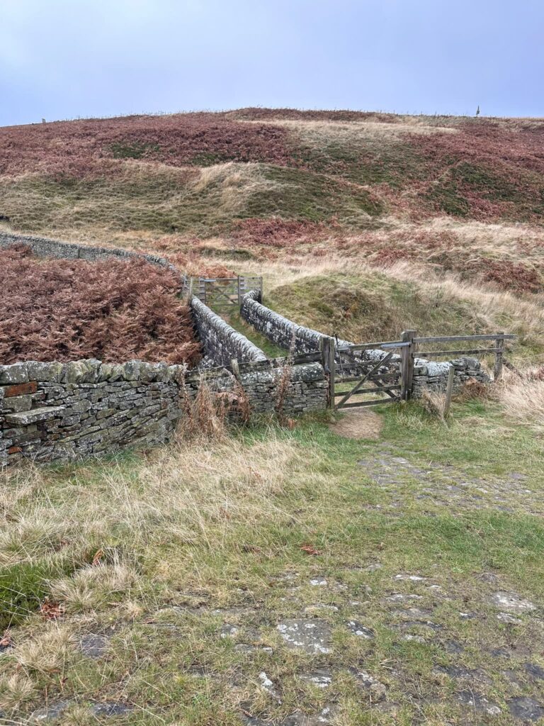 A stone bridge crossing Salters Brook