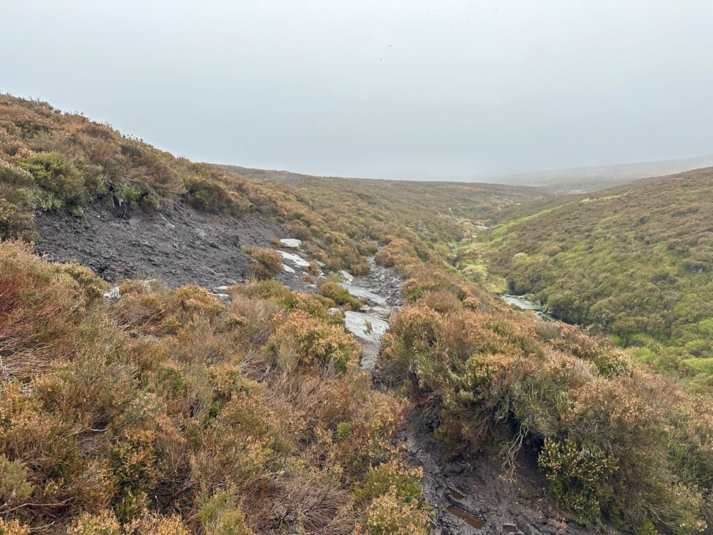 A peat moorland path