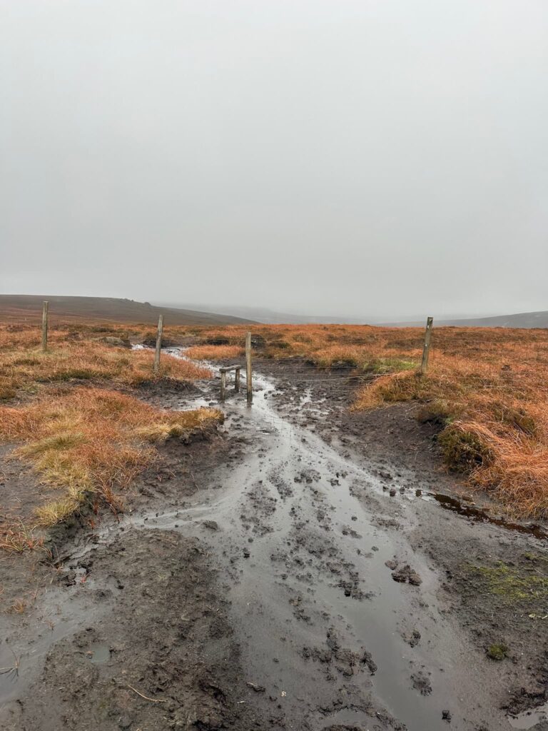 A boggy stile at Swains Head