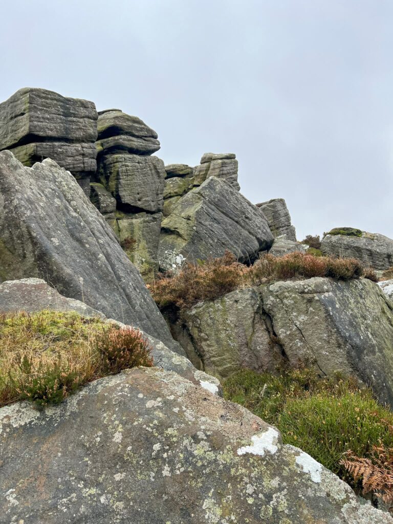 Shepherds Meeting Stones