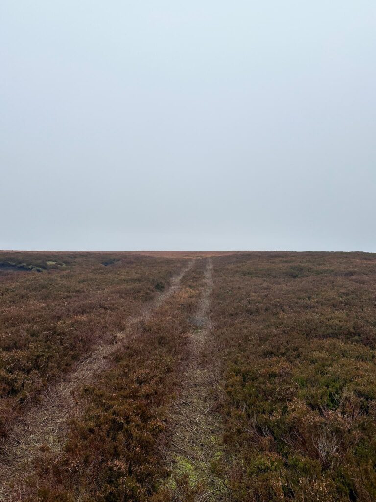 A misty murky image with a boggy moorland path