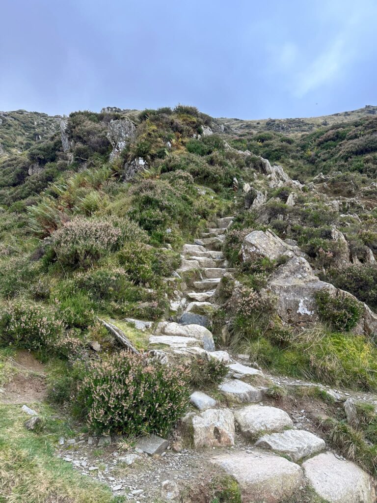 Rocky steps up the Cambrian Way