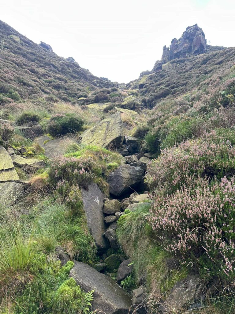 A view up Wilderness Gully West