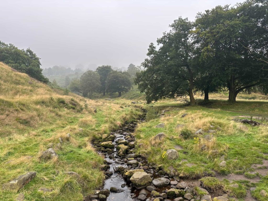 Chew Brook