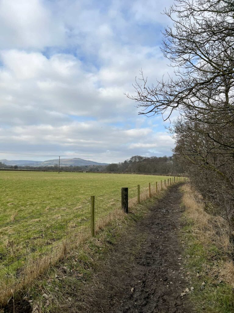 A muddy path alongside the River Derwent