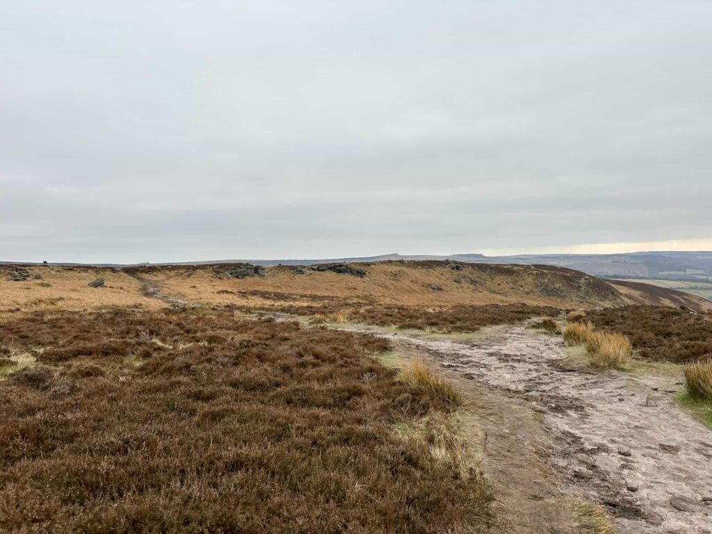 A moorland view