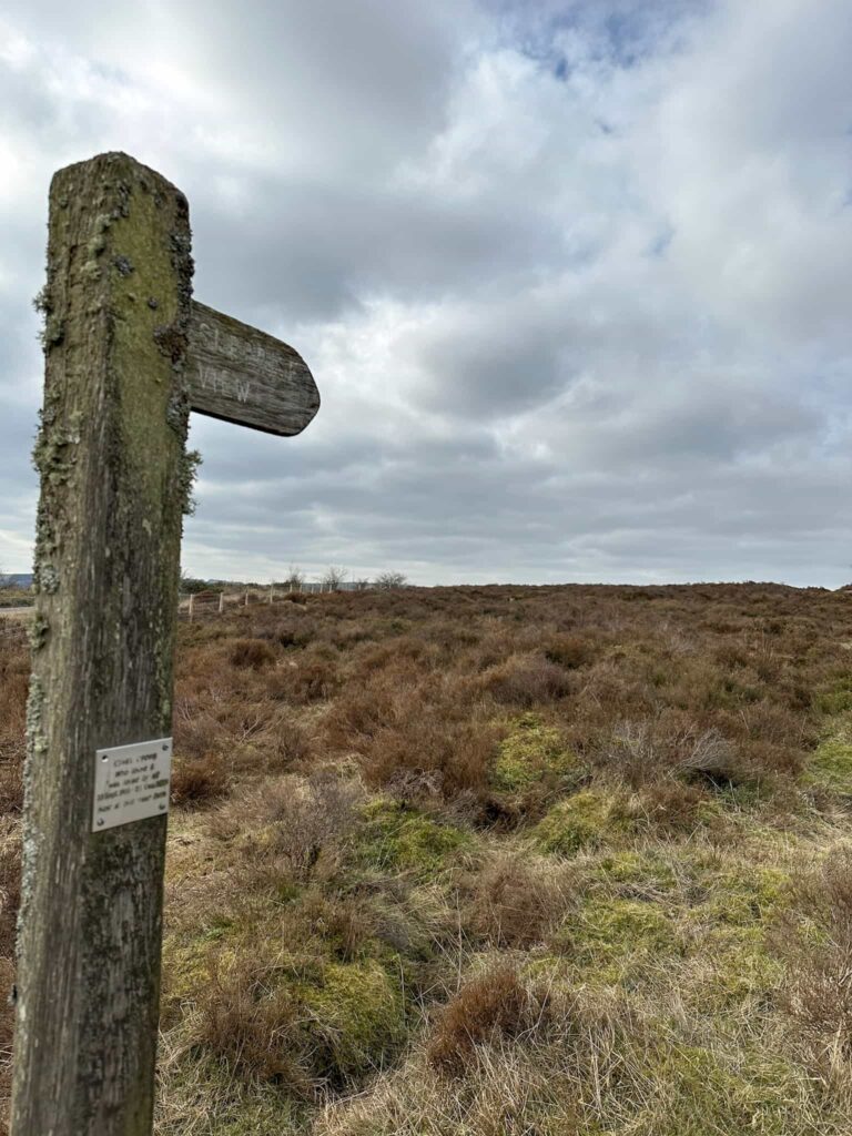 A wooden signpost pointing to Surprise View