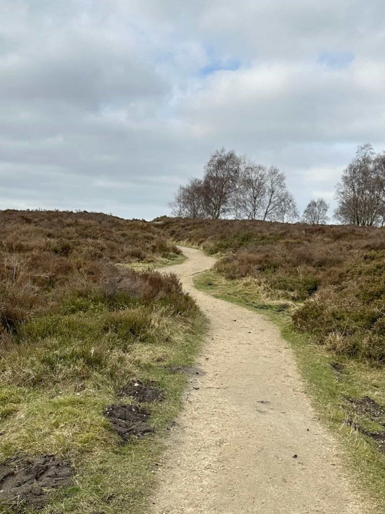 A light sandy path on the moors