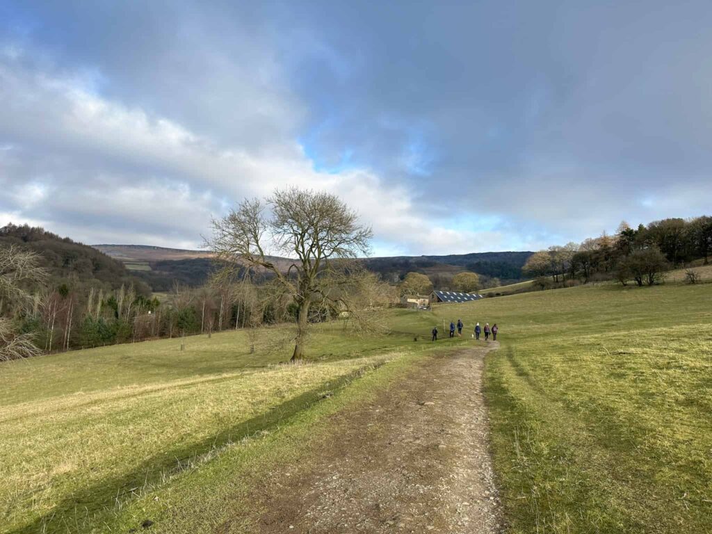 A track leading across green fields