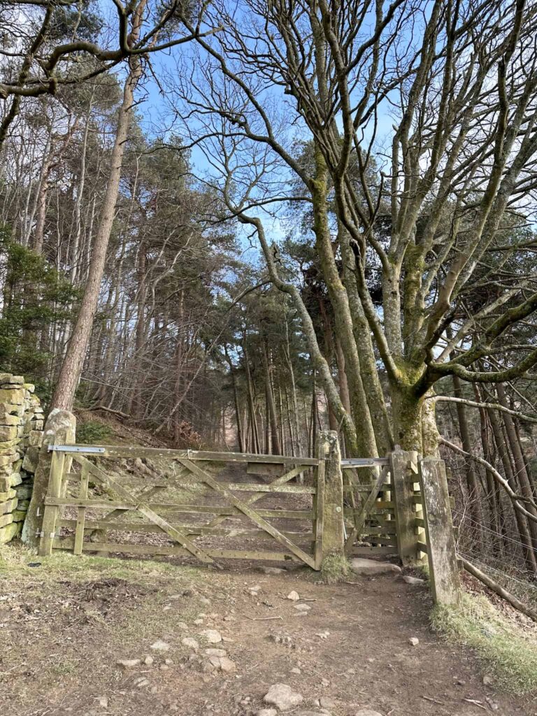 A wooden gate into woodland