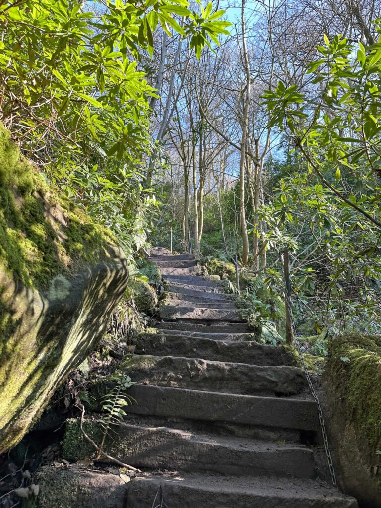 Steep steps up through the woods