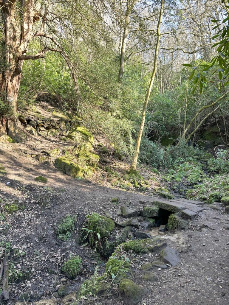 A woodland path over a stream