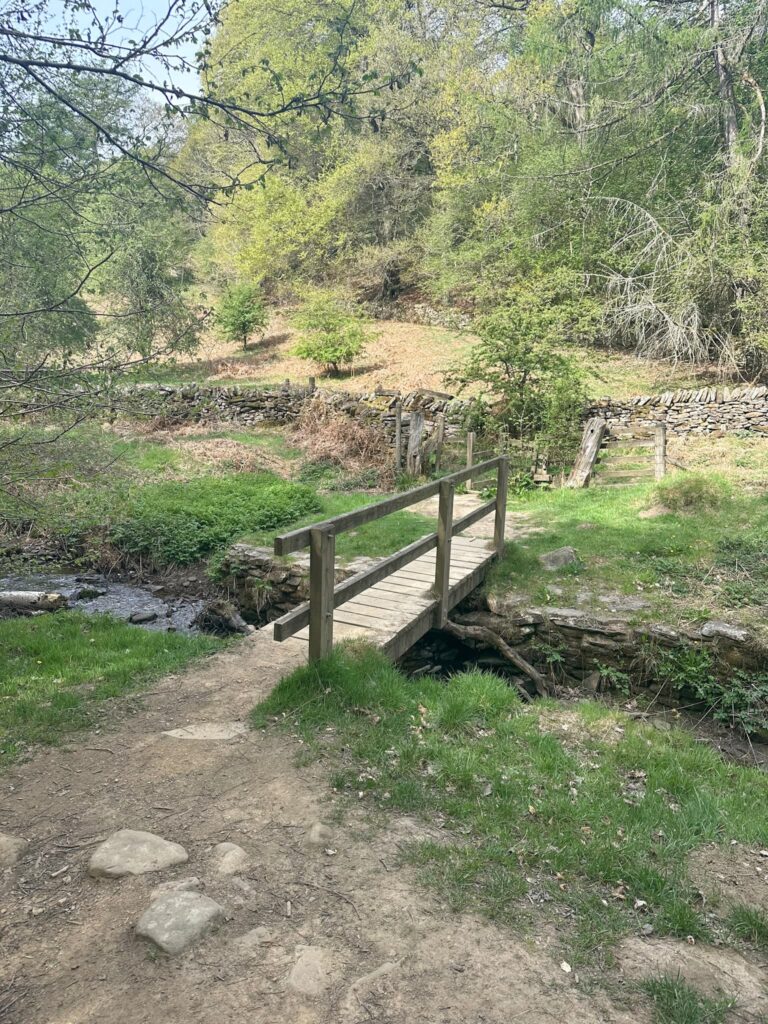 A wooden bridge over a stream
