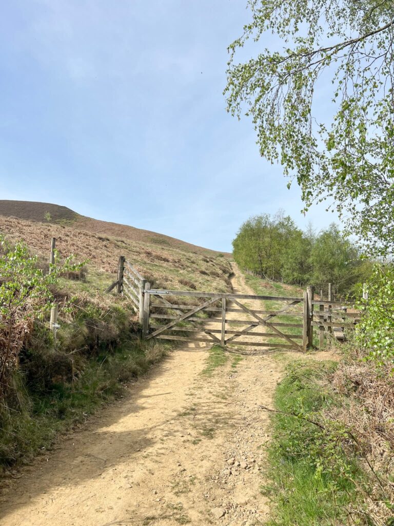 A wooden gate over a moorland track