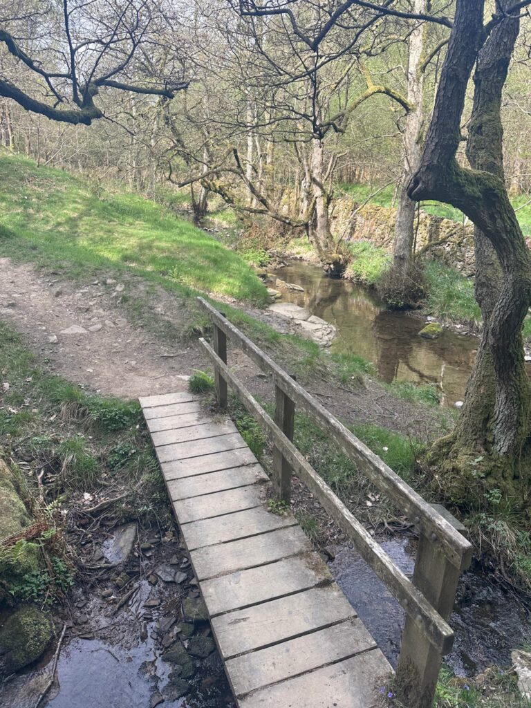 A wooden bridge over a stream