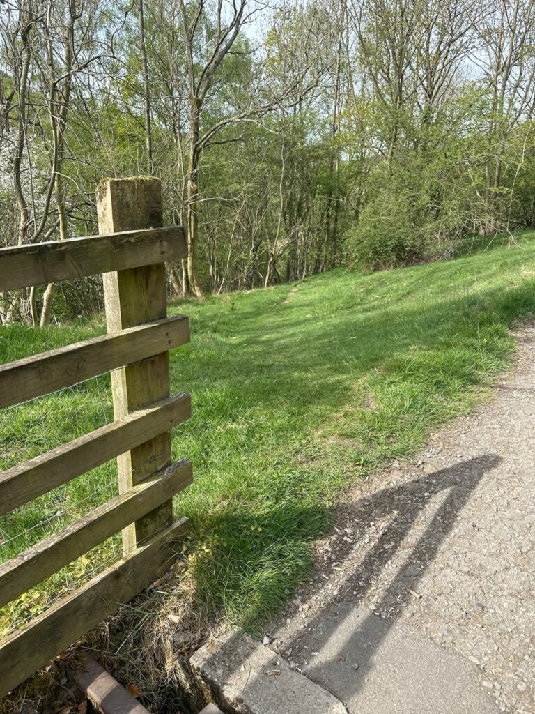 A wooden fence