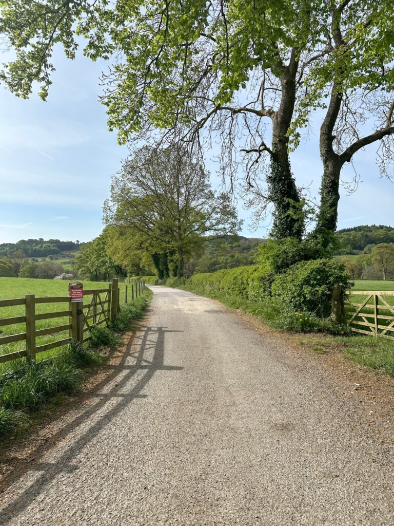 A country lane