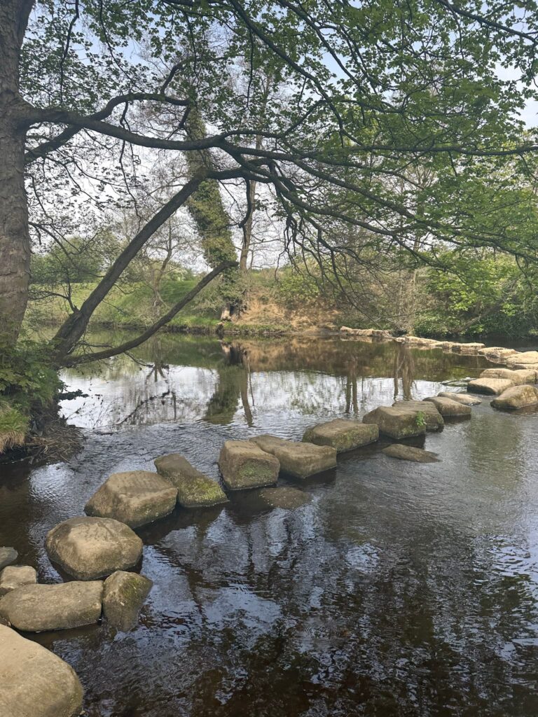 Hathersage Stepping Stones