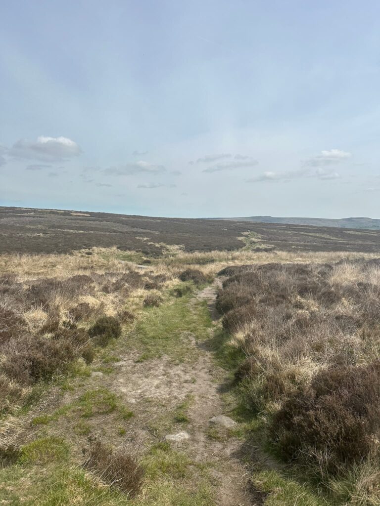 A view of open moorland