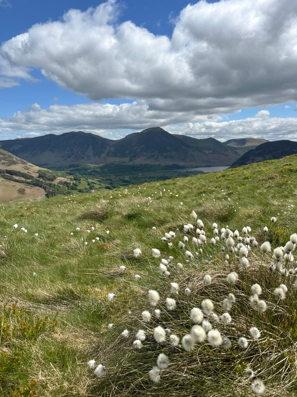 Lingmoor Fell Walk | 4 Miles | The Wandering Wildflower