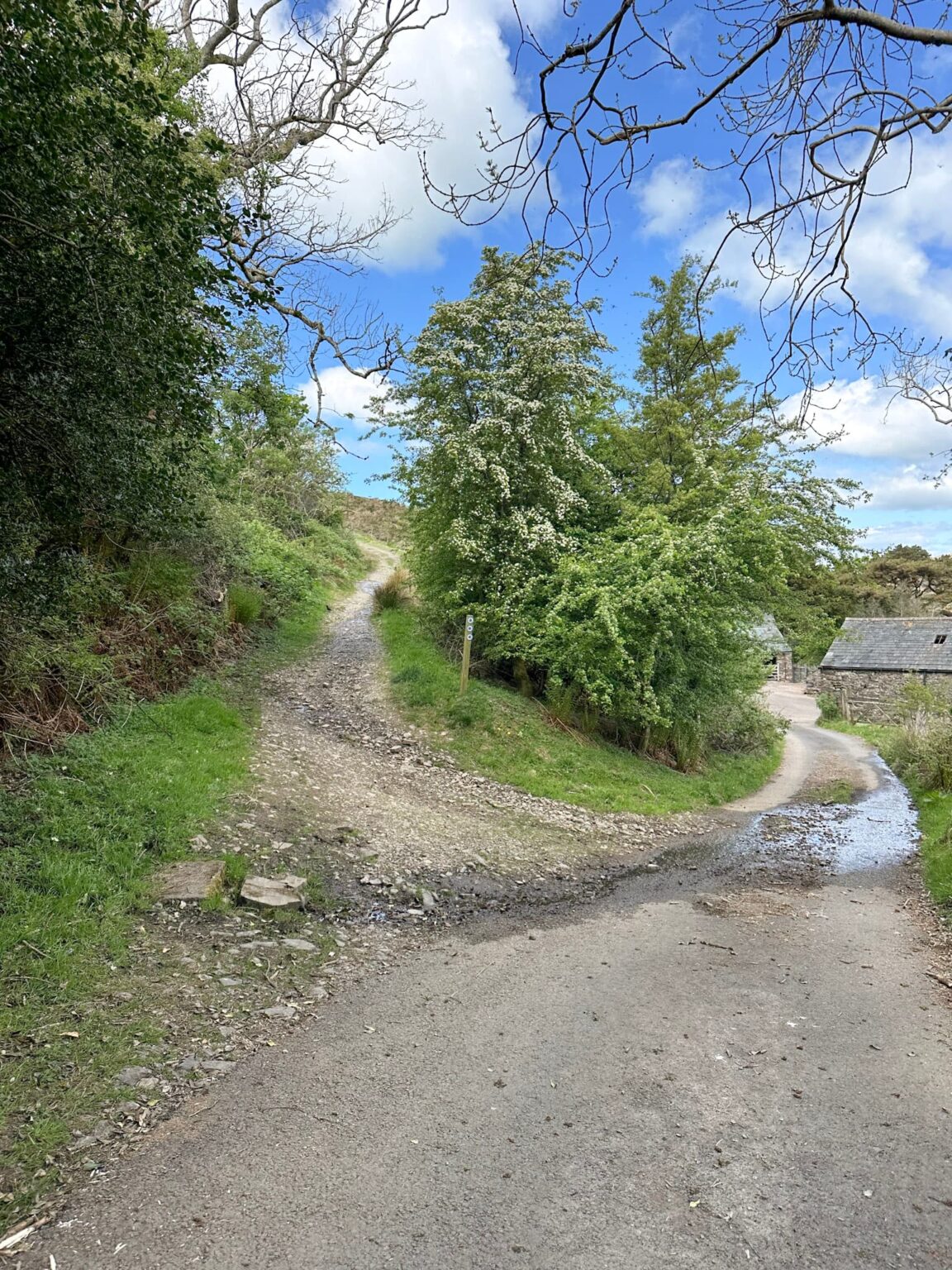Burnbank Fell, Blake Fell and Gavel Fell | 8 Miles | The Wandering ...