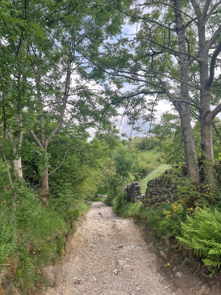 Pin Dale, Castleton