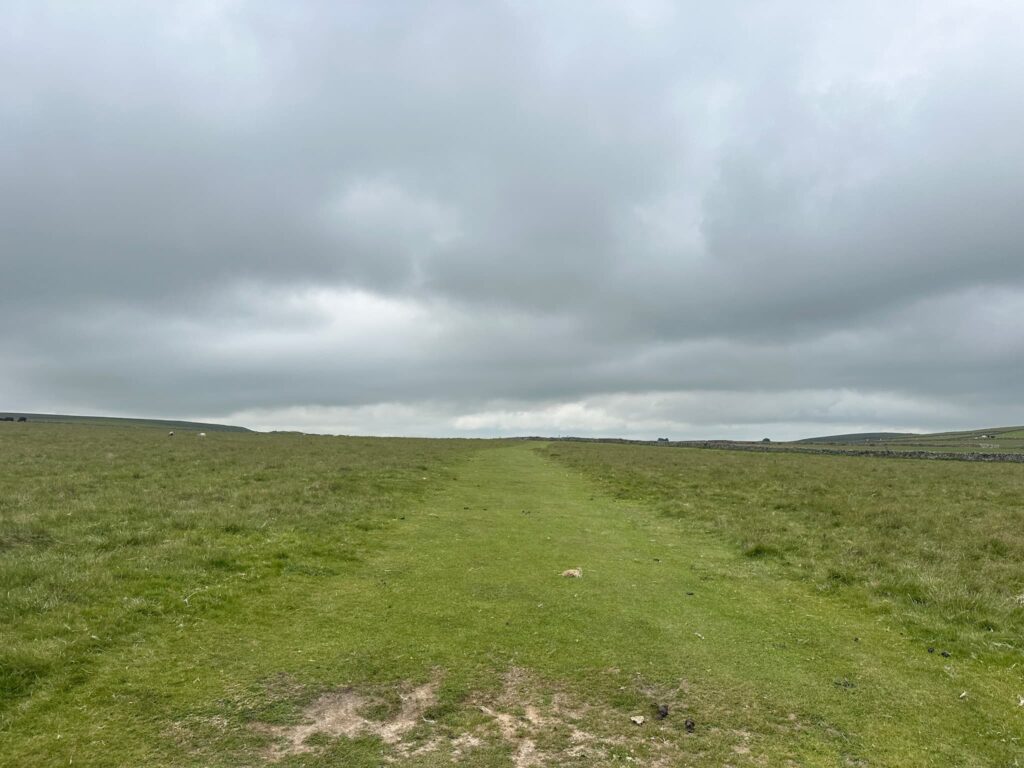 A path across a field