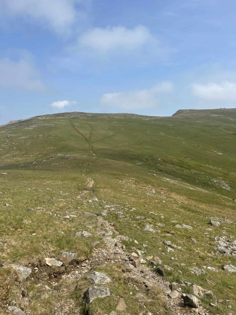 A view of many paths on a grassy hillside