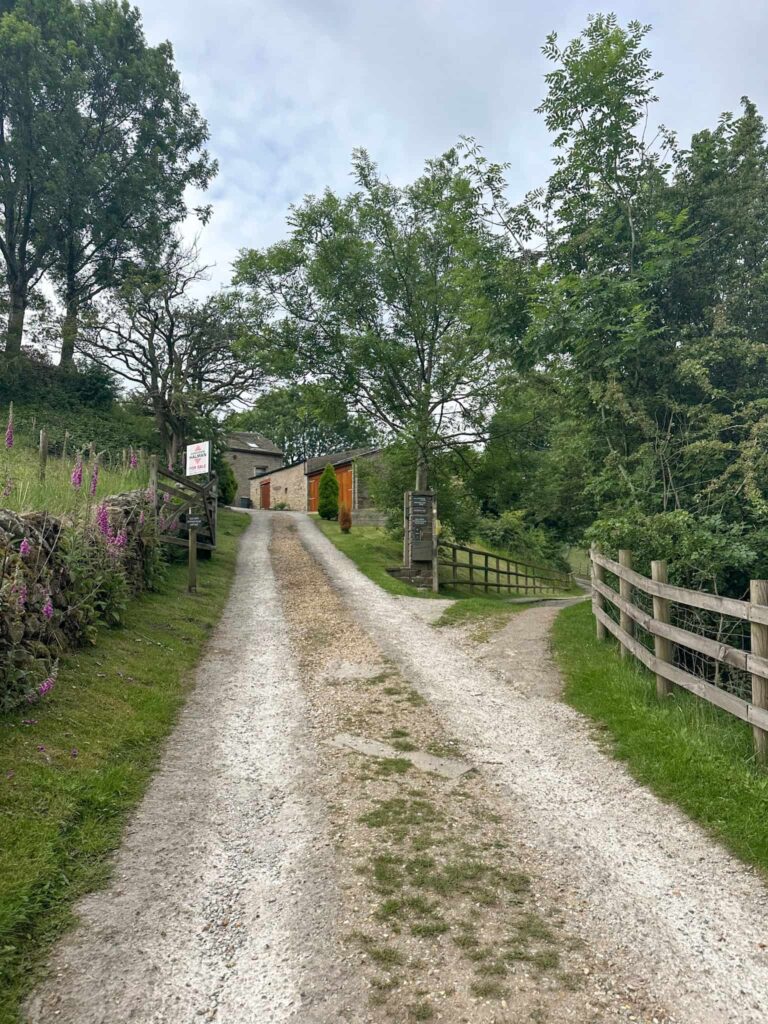 A forked path