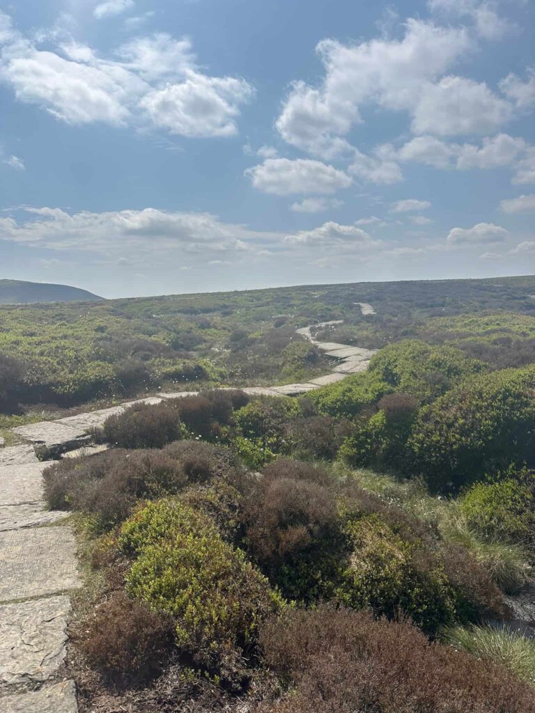 A stone flagged path over the moors