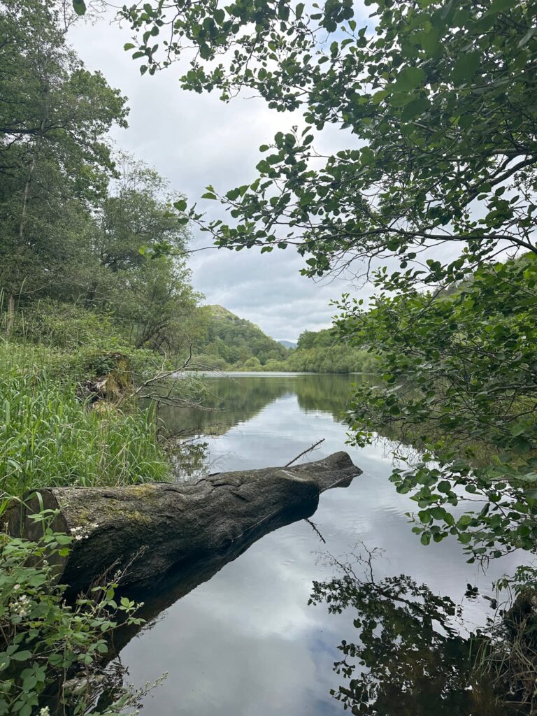 Yew Tree Tarn