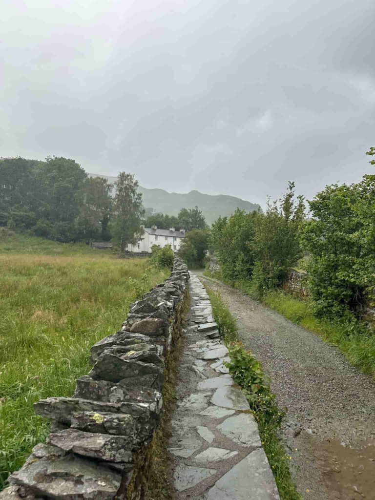 A country lane