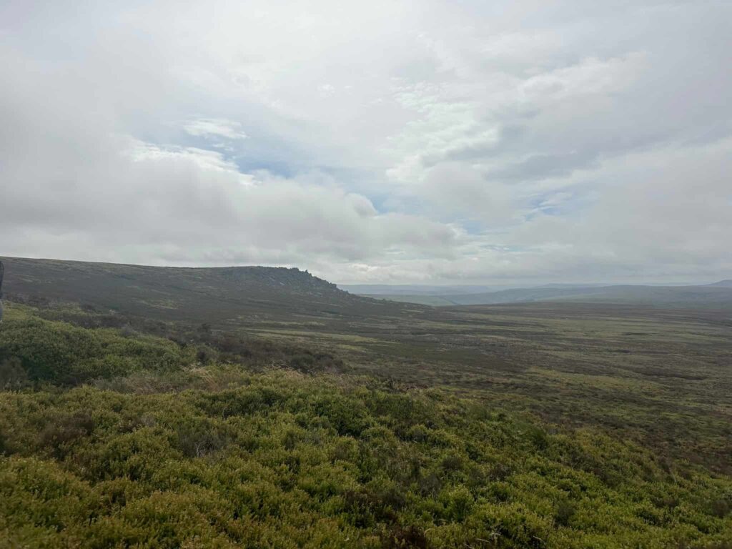 Looking over to the Grinah Stones
