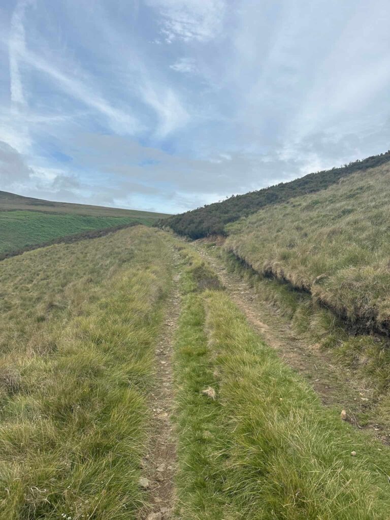 A moorland track