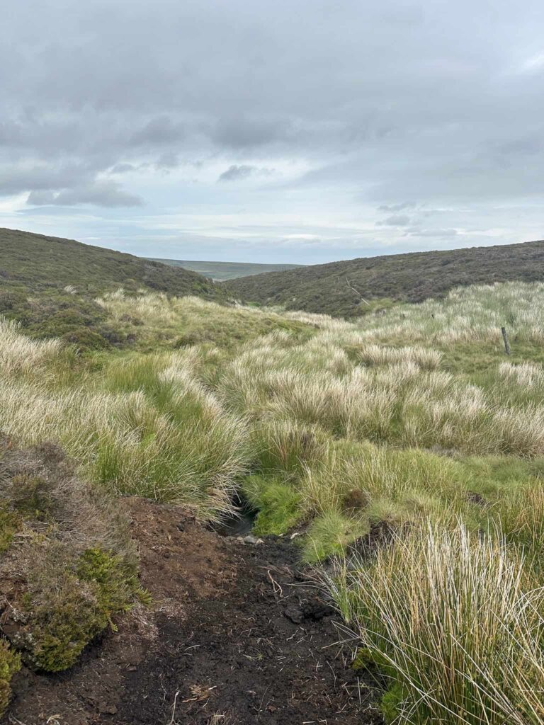 A moorland view