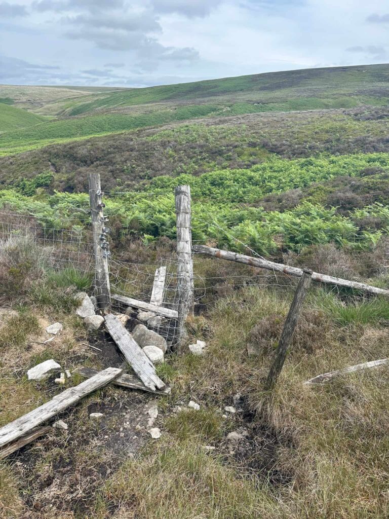 A broken fence
