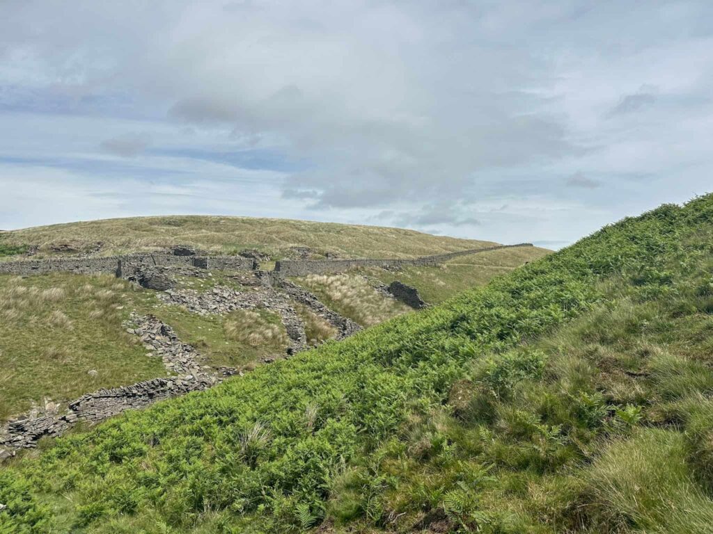 A moorland view