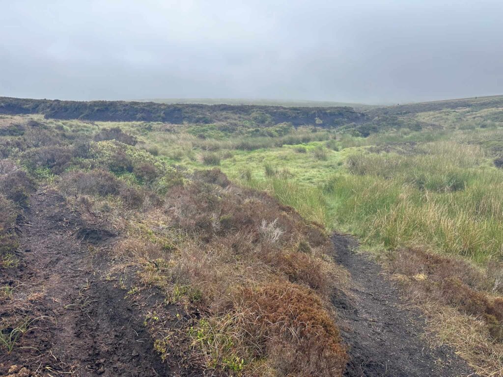 A murky moorland view
