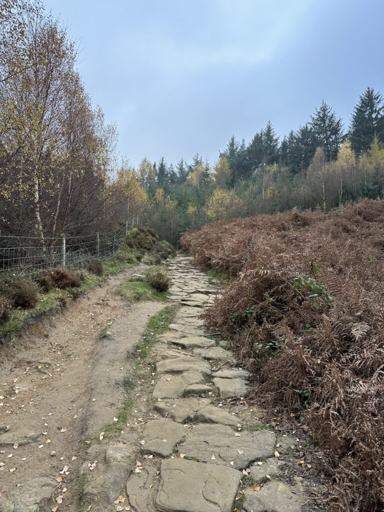 A rocky path up onto the moors