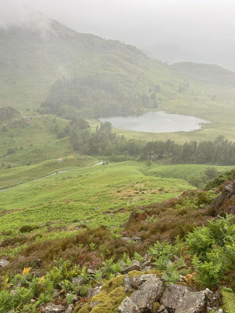 A view of Blea Tarn from Lingmoor Fell